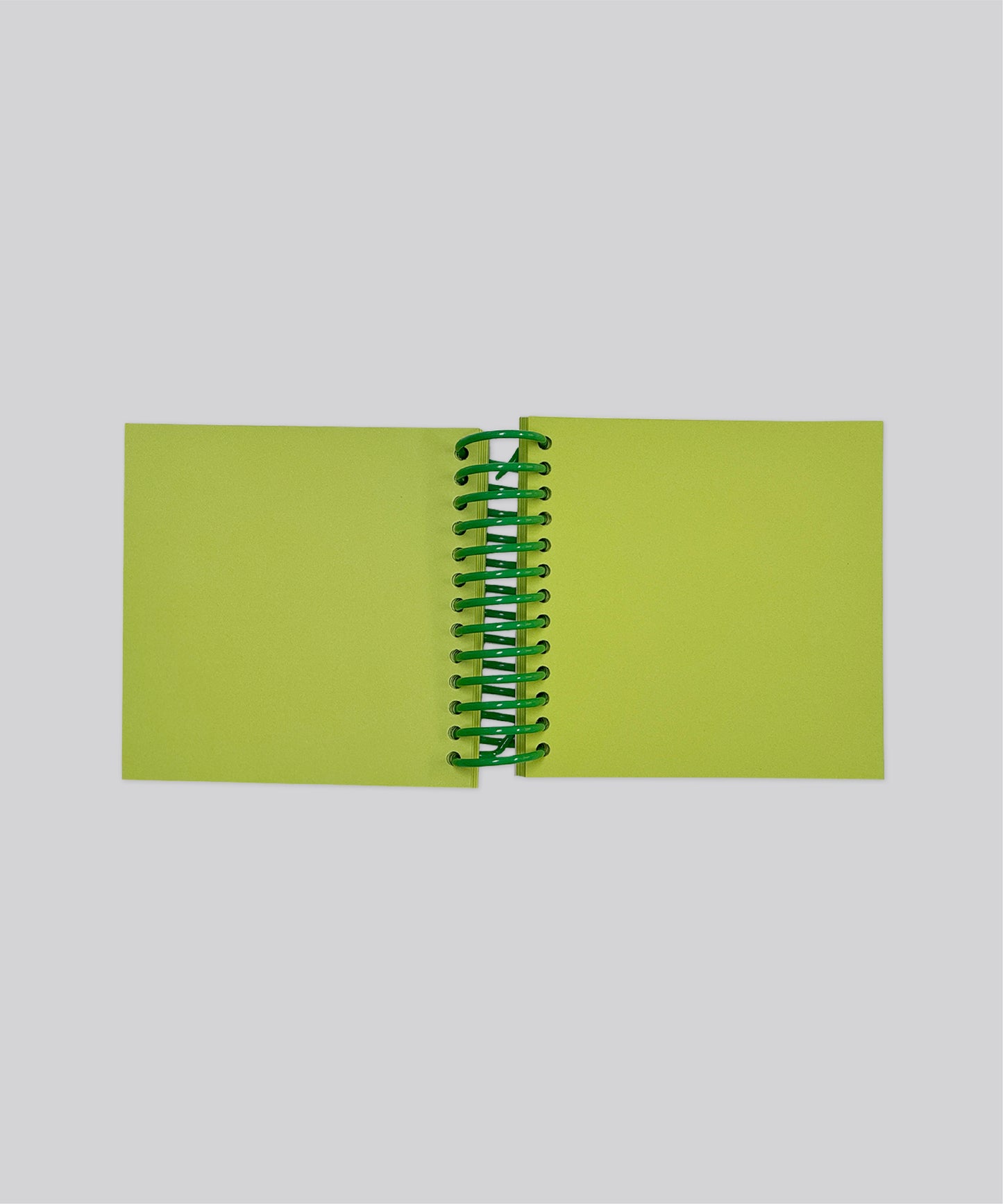 Spring Note 01-05